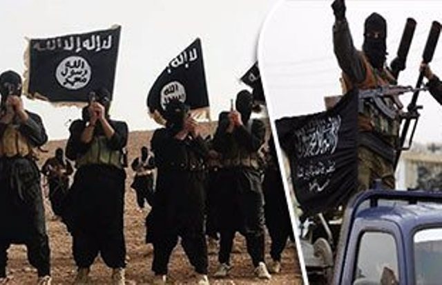 الجيش السري لداعش والنصرة وأرقام لا تصدق