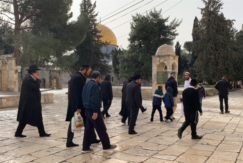 دعوات فلسطينية إلى إفشال اقتحامات المستوطنين للمسجد الأقصى
