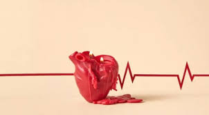 يوم الحب.. خطوات جديدة مهمّة لصحة القلب وفق طبيبة

