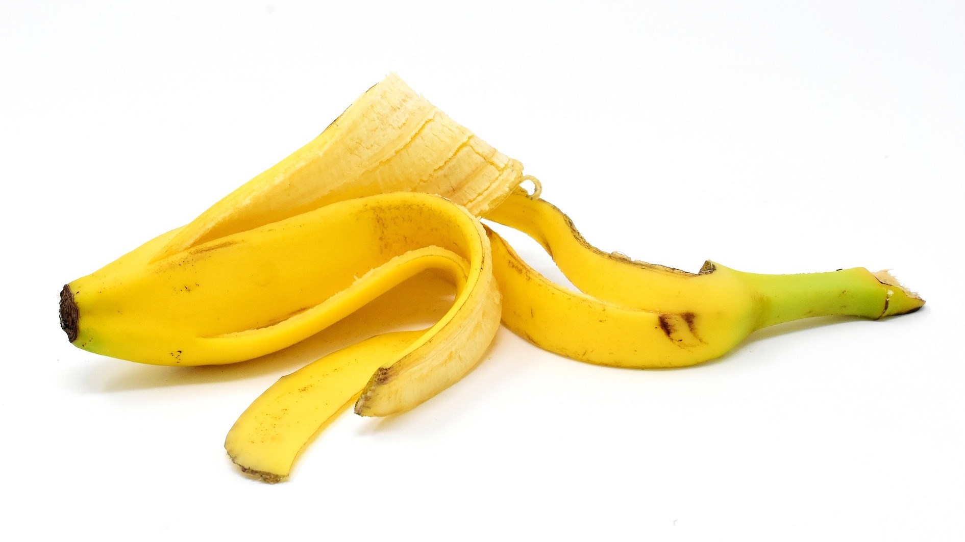 قشر الموز.. أكثر من مجرد غطاء يحمي الفاكهة الشتوية

