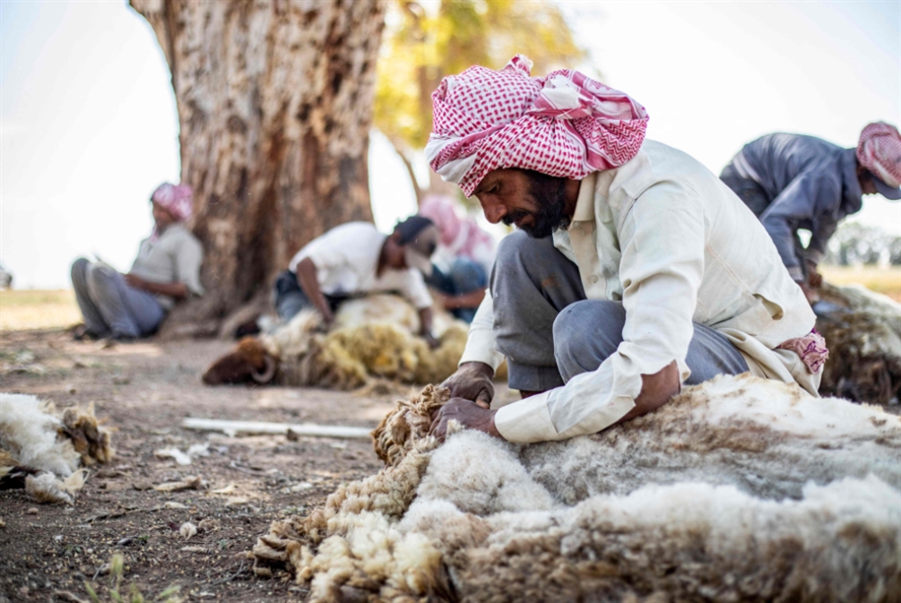 أذرع متعدّدة برأس واحدة: واشنطن تجذّر وجودها... وتحصّنه
