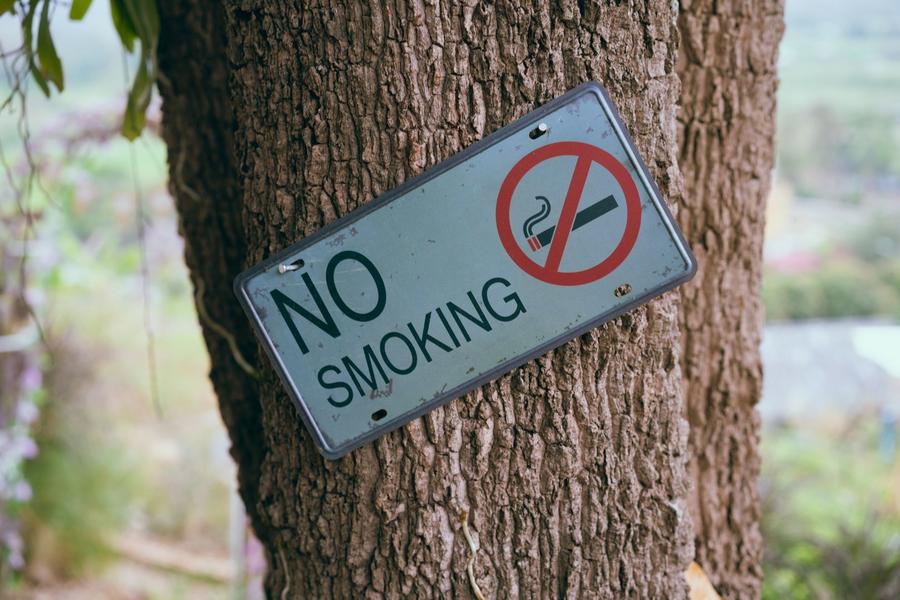 كندا أول دولة في العالم تحارب التدخين بهذه الوسيلة
