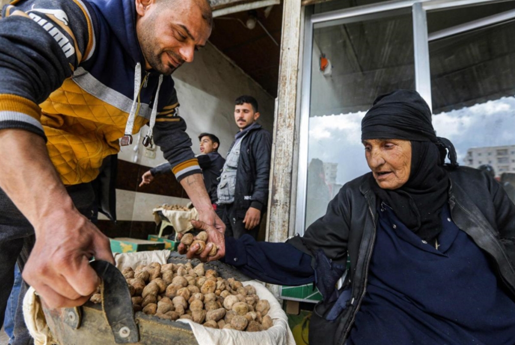 موسم البحث عن «الكمأة»: السوريون يشترون 