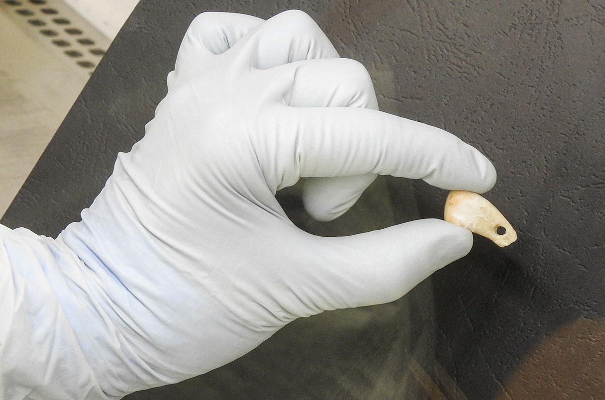علماء يستخرجون الحمض النووي لامرأة من قطعة حلي عمرها 20 ألف عام
