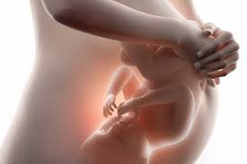 تراجع نمو الجنين داخل الرحم .. أسبابه وعلاماته ومخاطره على الحامل
