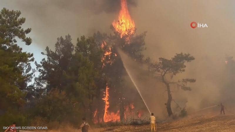 الحرائق تلتهم غابات دول شرق المتوسط
