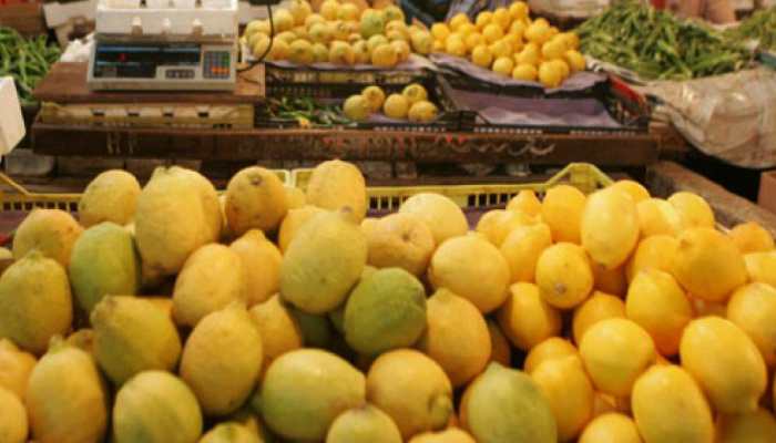 كيلو الليمون يتجاوز عشرة آلاف ليرة إن وجد وتوقعات بزيادة إنتاجه 20٪  الموسم القادم
