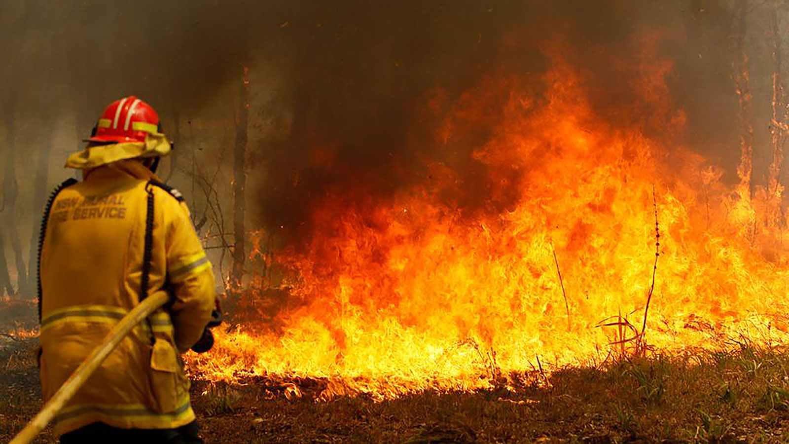 إطفائي أسترالي يُشعل الحرائق ليخمدها!
