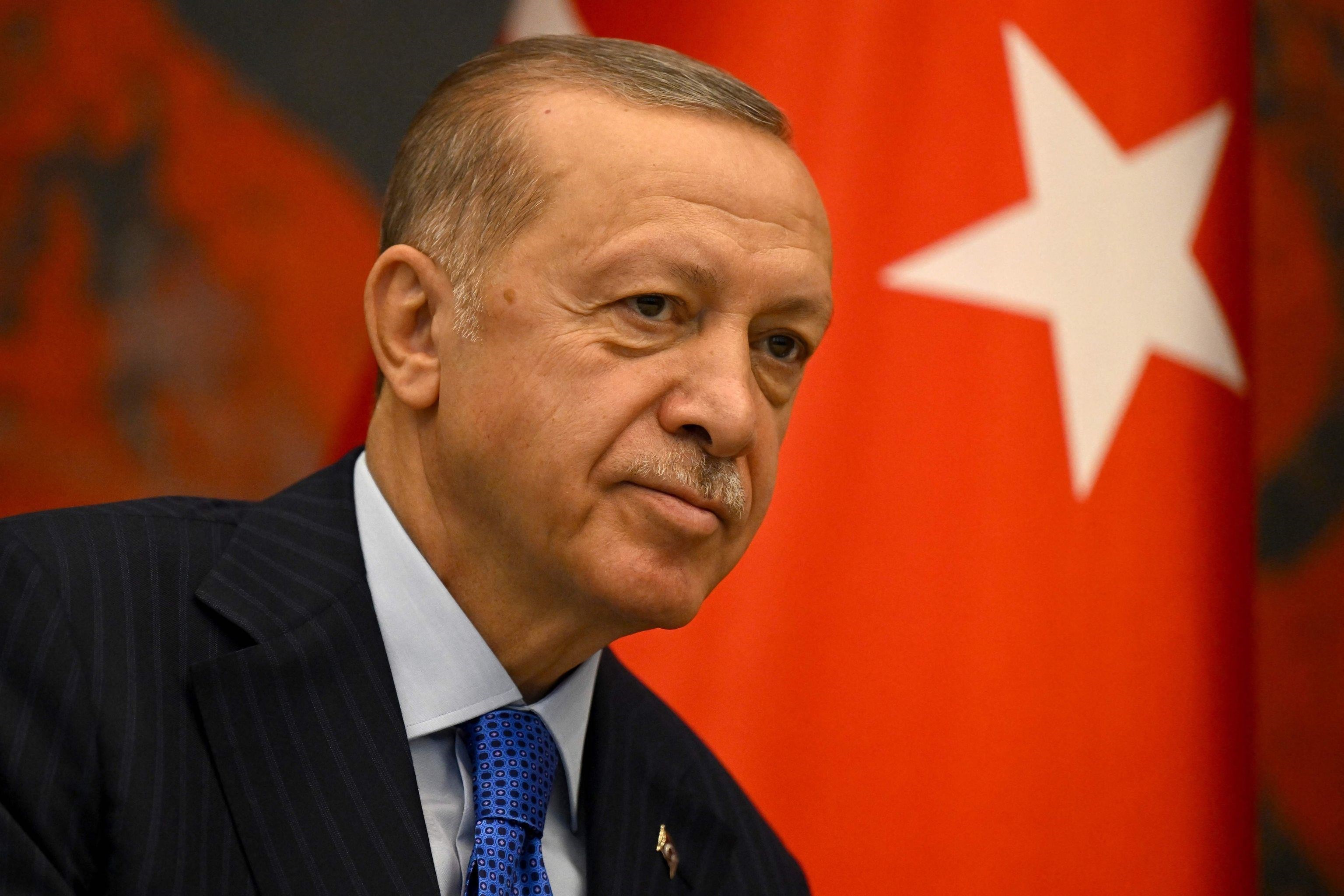 إردوغان: القوات التركية قتلت زعيم 
