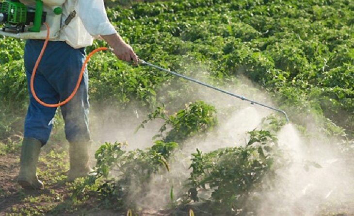 “الزراعة” تحذر من مخاطر المبيدات المهربة.. وتتناسى مسؤولياتها؟

