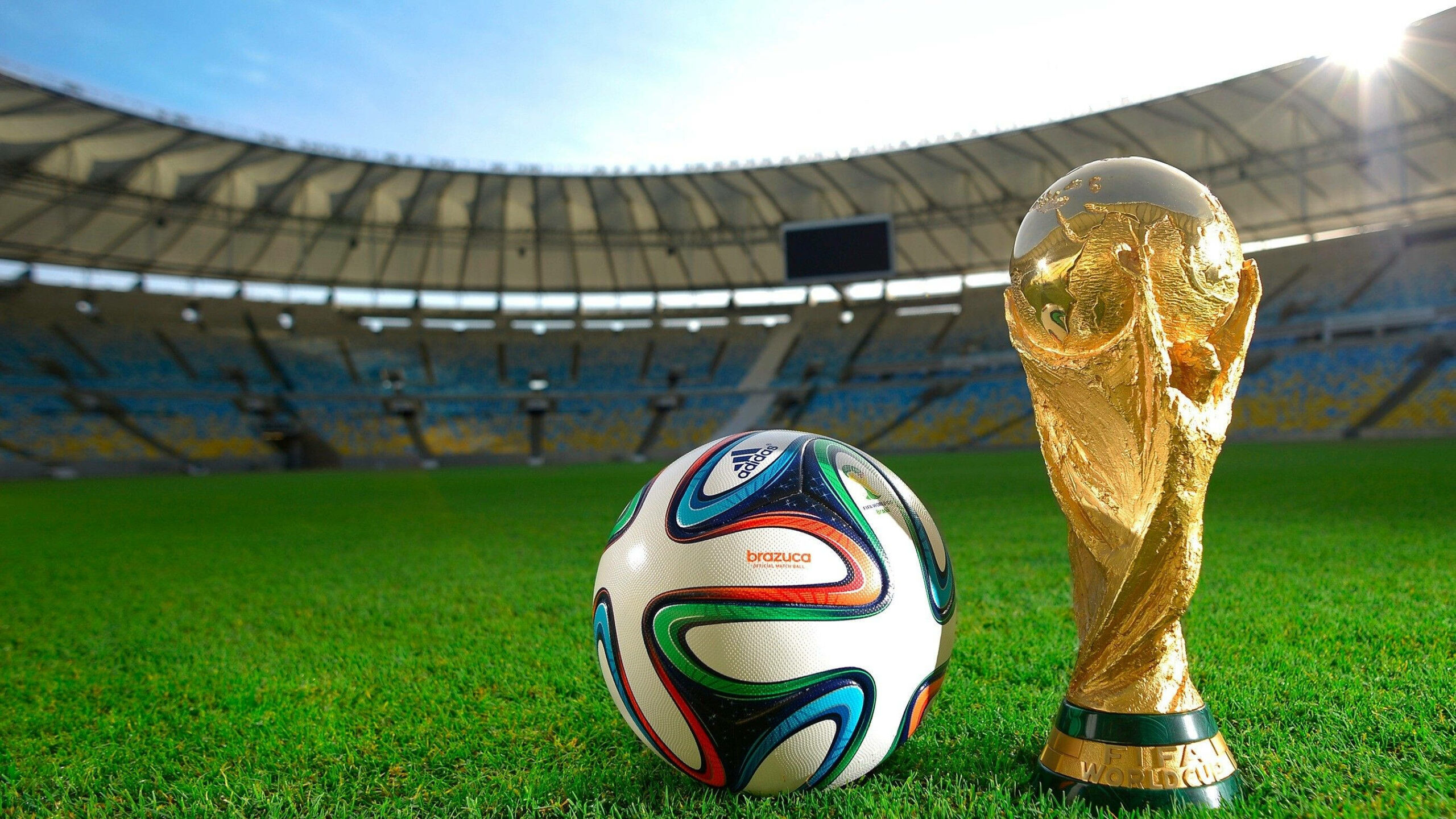 بالأرقام.. الجوائز المالية لمنتخبات كأس العالم 2022

