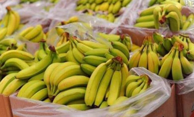 مع توفر كميات كبيرة.. هبوط في أسعار الموز ونقص في البقوليات
