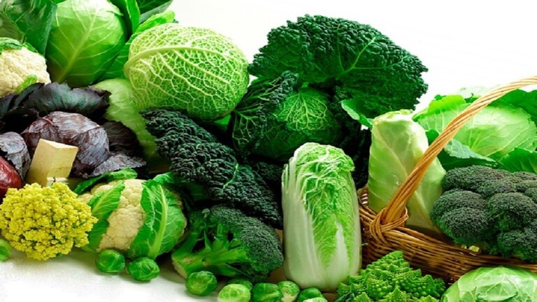 نوع خضار يساعد على 