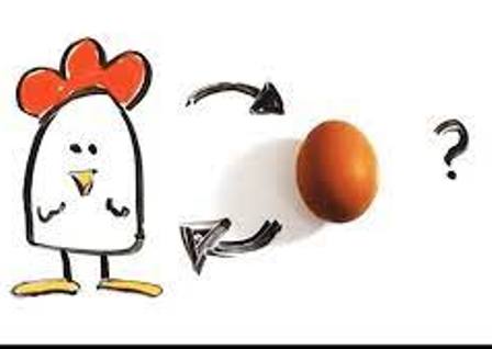 البيضة جاءت أولاً ..بل الدجاجة جاءت أولاً ..العلم يحسم الجدلية بالأدلة
