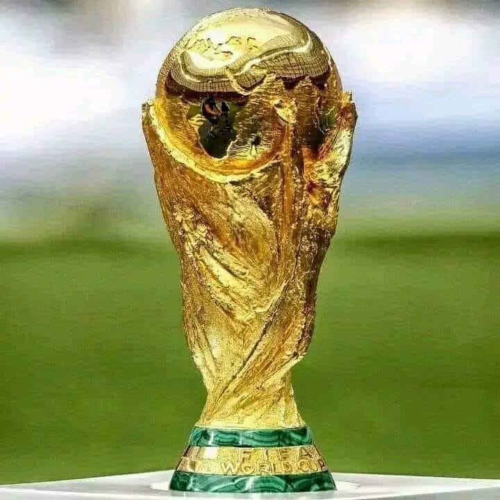 كأس العالم ...وكاسك يا وطن! .. بقلم: محمود جنيد

