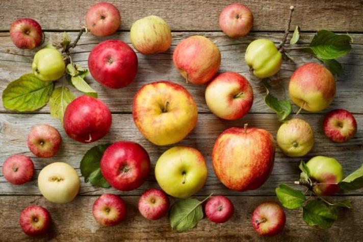 فوائد التفاح التي لم تُعرف من قبل !