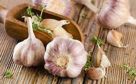 ماذا سيحدث إن تناولت فص من الثوم قبل النوم.. سيدهشك
