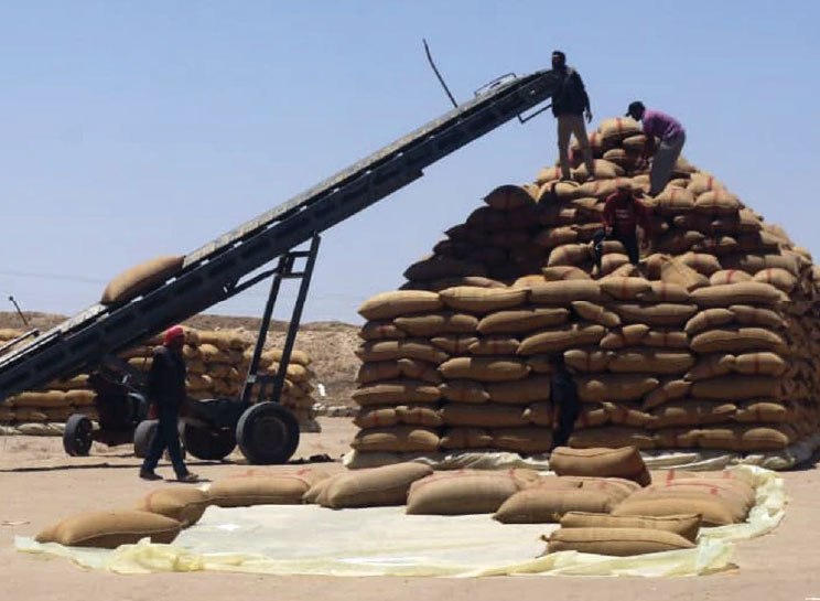 لا صحة لأخبار تخفيض مخصصات الأفران … مدير عام الحبوب: مخزون القمح يغطي حاجة سورية لبداية العام القادم
