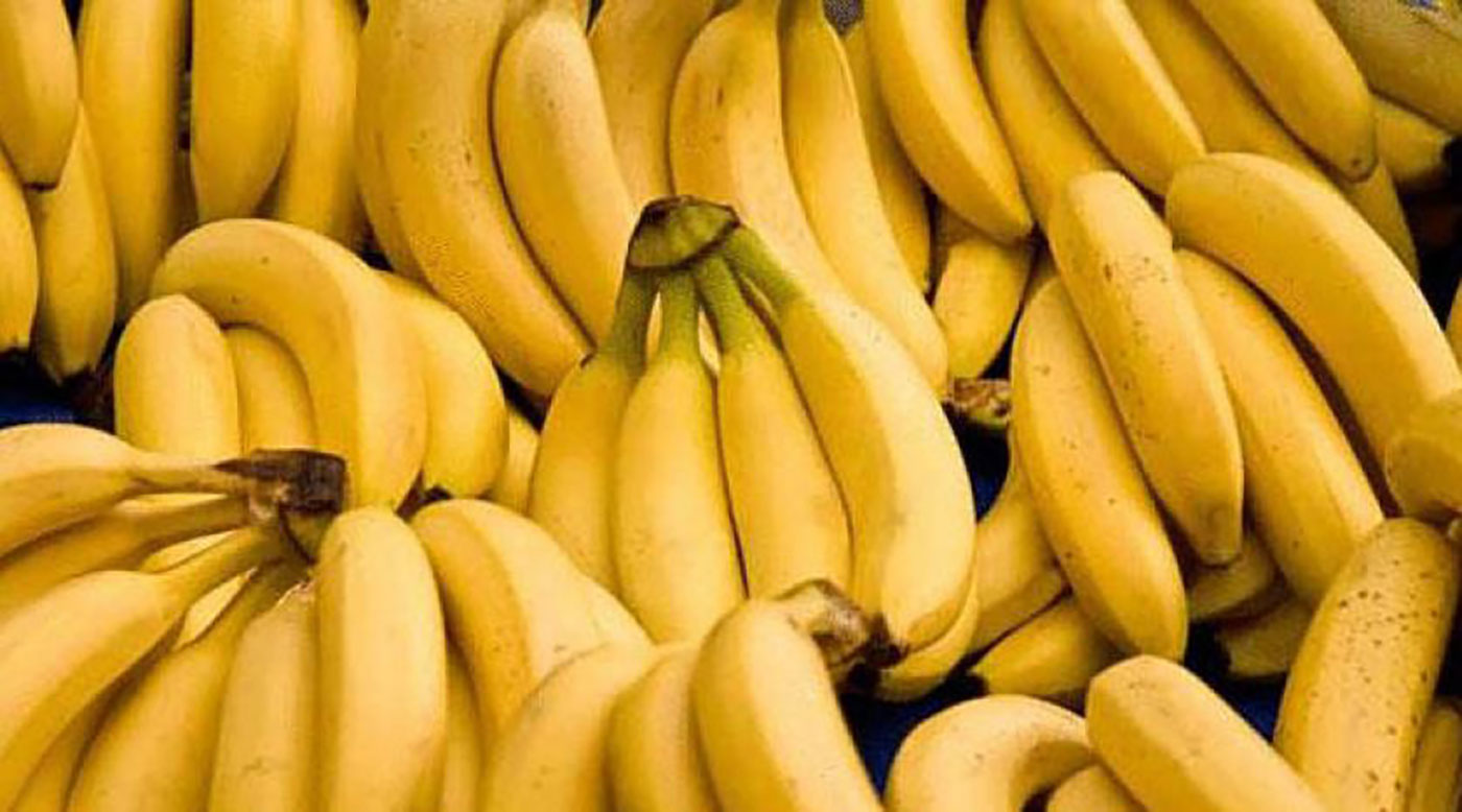 البشرية قد تُحرم من أكل الموز لهذا السبب
