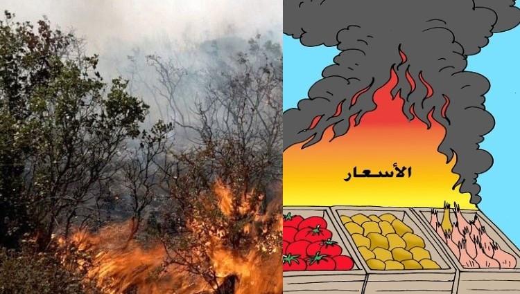 السوريون بين نارين :لهيب الأسعار وسعير الغابات.. بانتظار حلول السماء!
