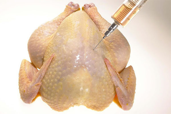 دجاج الهرمون الكبير يجتاح الأسواق.. وحماية المستهلك لا تملك مخبر تحليل عضوي