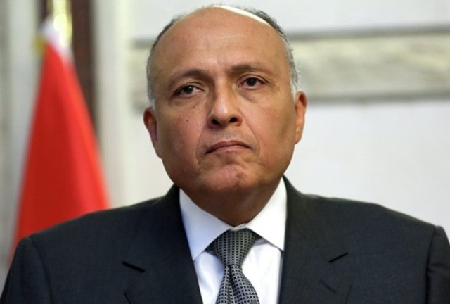 شكري: لا شروط لدى مصر لعودة سورية إلى الجامعة العربية