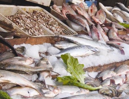 المُعلبات عوضاً عن الأسماك المستوردة.. ومكافحة التهريب تطول المهرَّب منها.. 50% من الأسماك في الأسواق الشعبيـة لا تحقق المواصفة