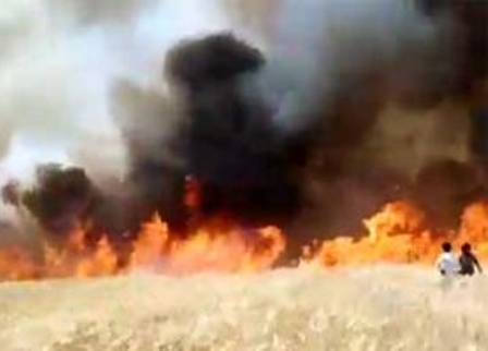 830 حريقاً منذ بداية العام منها 270 في أيار في ريف دمشق …أغلب الحرائق مفتعلة تندلع في الليل