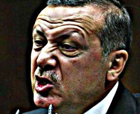 أردوغان.. الثعلب عندما يؤمن جانبه!