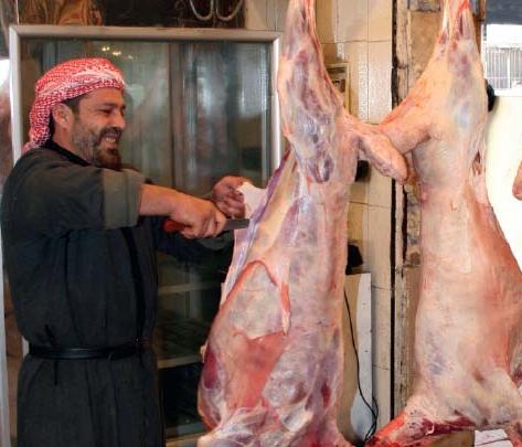 110 آلاف أضحية متوقعة في العيد القادم … مدير الشؤون الصحية: تنظيم عمليات الذبح لضمان سلامة اللحوم والمحافظة على نظافة المدينة