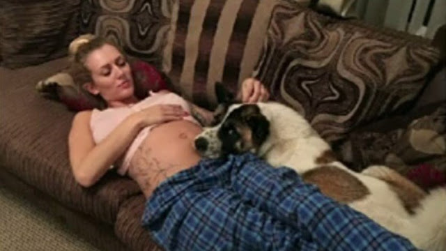 كلبة تُنقذ حياة امرأة وجنينها