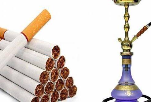 هل تدخين "الشيشة أي الارجيلة" يفوق الضرر الذي تتسبب به السجائر.. ماذا تقول منظمة الصحة العالمية؟