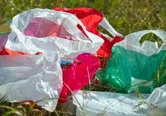 المدة أقصر مما تعتقد.. متى تصبح أكياس البلاستيك خطرا على البشرية؟