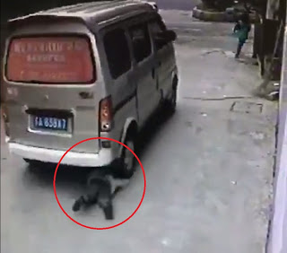 فيديو لا يصدق : عجلات سيارة تمر فوق الطفل لكنه قام وكأن شيئا لم يحصل