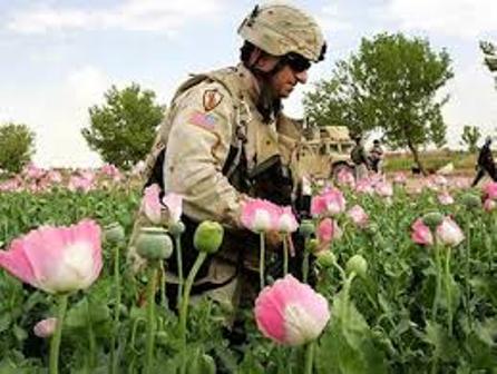 تجارة المخدرات في أفغانستان وسيلة الاستخبارات الأمريكية لتمويل عملياتها