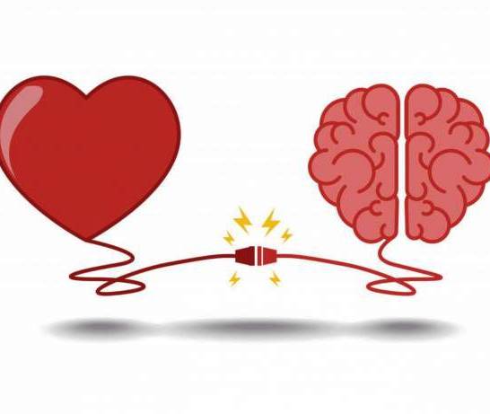 كيف تؤثر قرارات العقل على صحة القلب؟