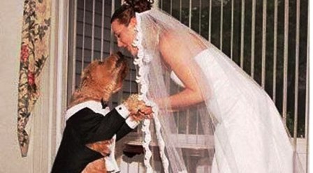 هذه المرأة تزوجت من كلبها!