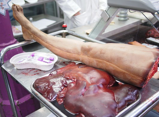 زامبيا.. شركات صينية تبيع لحوم بشرية على أنها لحم بقري محفوظ