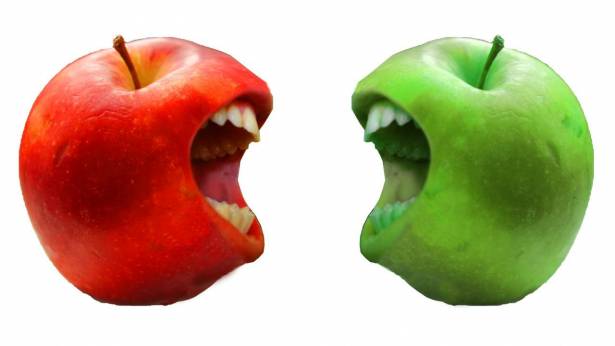 أيهما أكثر فائدة.. الفاكهة الحمراء أم الخضراء؟