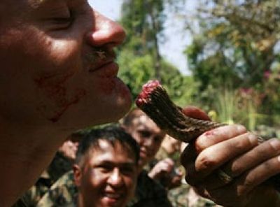 الجنود الأمريكيون يأكلون الأفاعي ويشربون دم الثعبان .. شاهد الصور