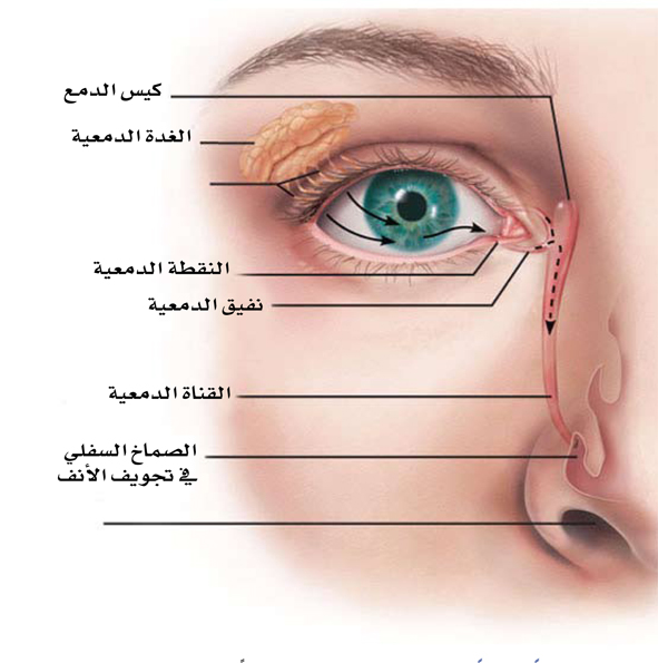 ماذا يحدث للقناة الدمعية وما هو جفاف العين؟!