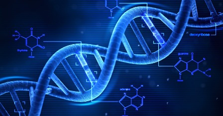تحت مبضع برنامج الاستعراف وتحديد هوية الـ DNA الطب الشرعي.. هيئة مكتومة.. مقرات ومخابر مفقودة.. إمكانات محدودة.. و”بصمات” تبحث عن هوية !!