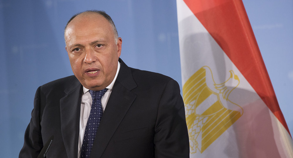 وزير الخارجية المصري يلتقي العليا للتفاوض السورية في القاهرة