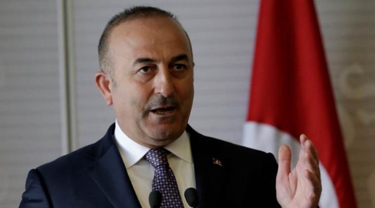 وزير الخارجية التركي: تيلرسون اقترح إقامة خط أمني بامتداد 30 كم في سورية