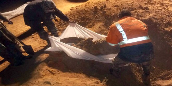 العثور على مقبرة جماعية تضم جثامين 34 شهيداً أعدمهم إرهابيو "داعش" قرب منطقة الرمثان بريف الرقة