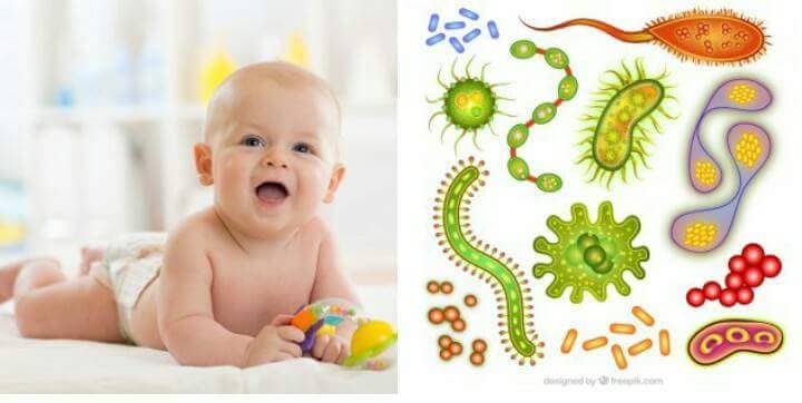 البكتيريا الصديق الوفي لطفلك وطريقه نحو مستقبل صحي وخالي من الأمراض ( نقاط علمية ونصائح طبية) .