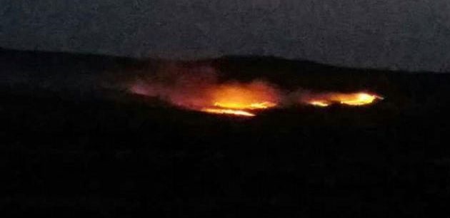 إرهابيو النصرة يشعلون النيران بالبساتين الزراعية في قرية حضر بريف القنيطرة