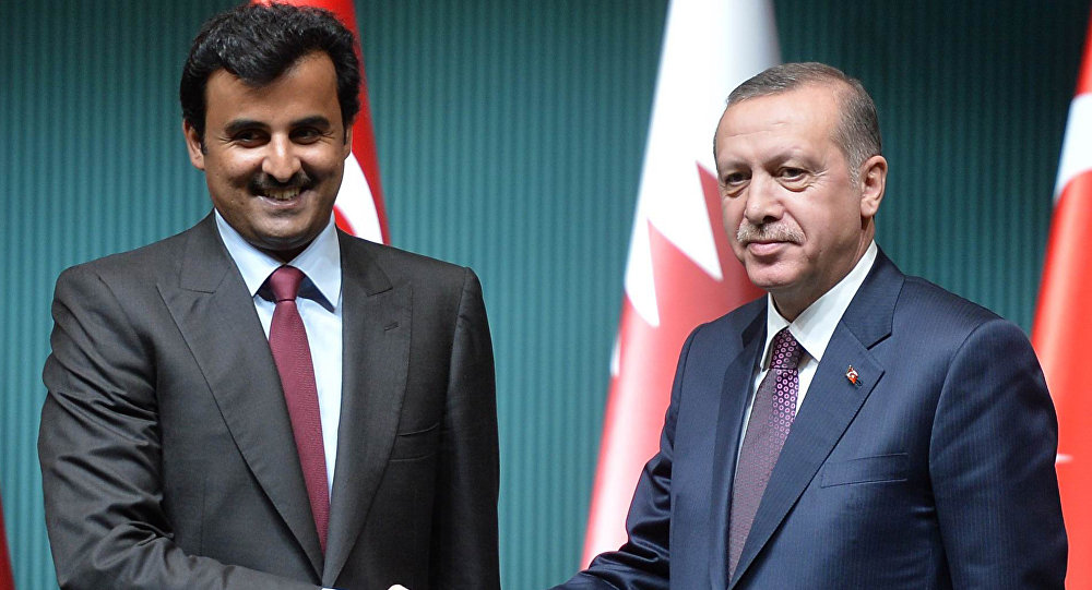 هكذا وصف أمير قطر تنصيب أردوغان رئيسا لتركيا لفترة جديدة