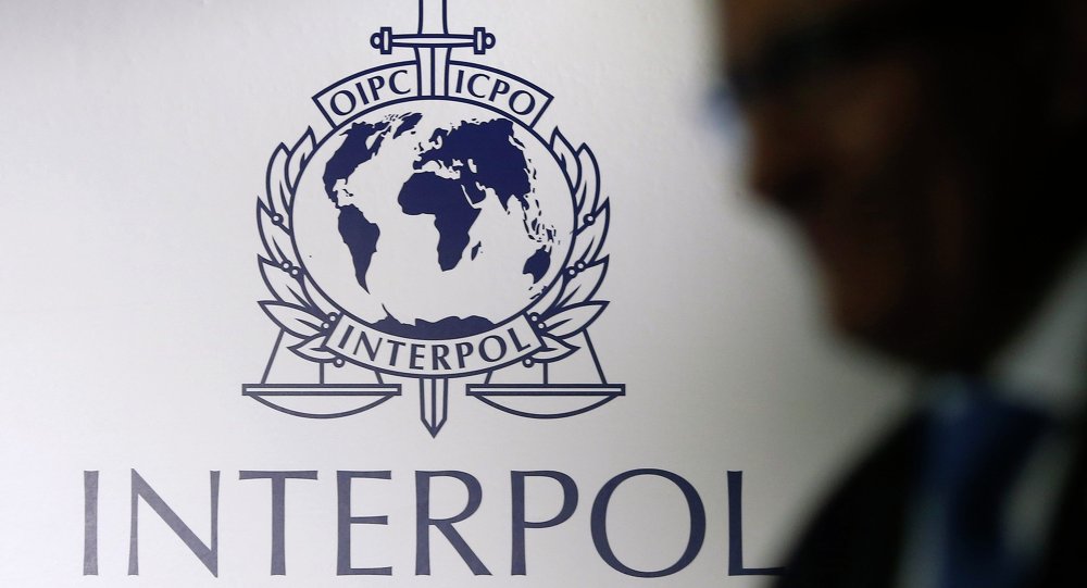 الإنتربول يبدأ عملية واسعة النطاق لمكافحة الإرهاب في موانئ البحر المتوسط