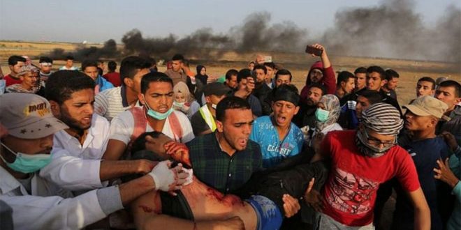 شهيدان فلسطينيان برصاص الاحتلال الإسرائيلي في الضفة وغزة